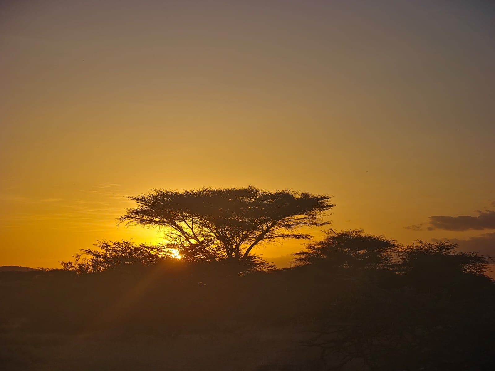 Samburu